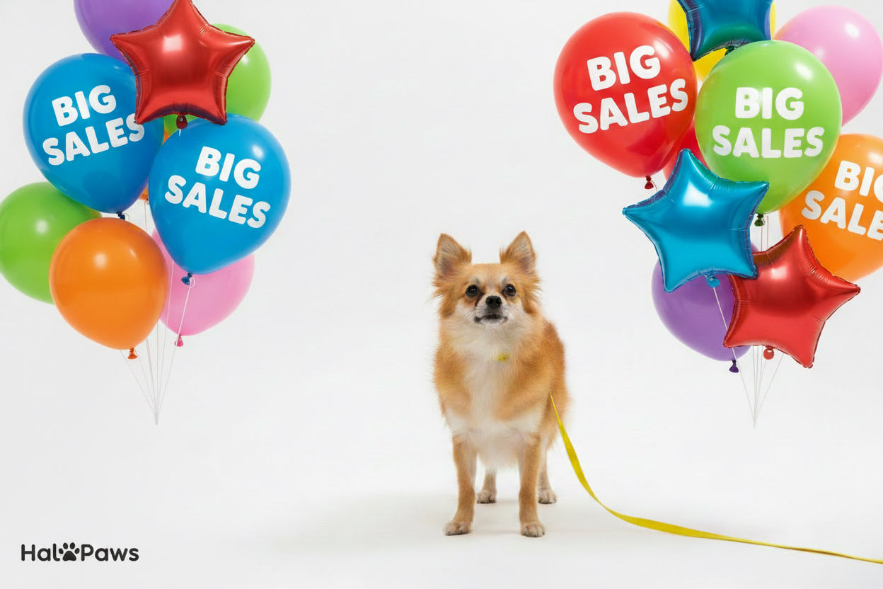 Home Page Banner Image